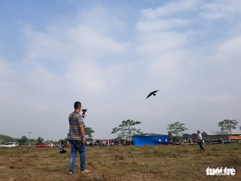 Mãn nhãn với những chú chim săn mồi sải cánh dũng mãnh - Ảnh 12. Mãn nhãn với những chú chim săn mồi sải cánh dũng mãnh - Ảnh 12.