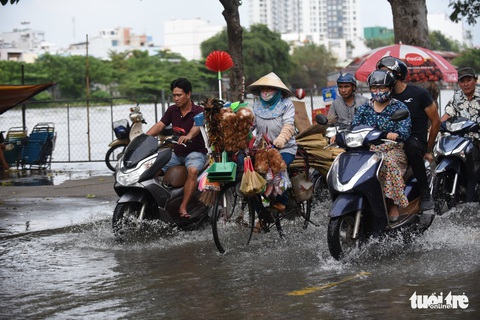 Gió mùa đông bắc gây mưa lớn miền Bắc, triều cường cao ở miền Nam - Ảnh 5. Gió mùa đông bắc gây mưa lớn miền Bắc, triều cường cao ở miền Nam - Ảnh 5.