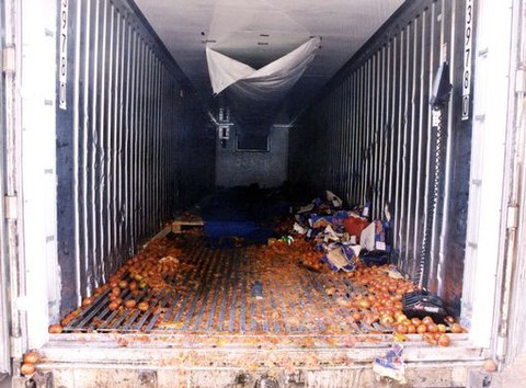 Container, địa ngục trần gian chở người nhập cư sang Anh - Ảnh 4. Container, địa ngục trần gian chở người nhập cư sang Anh - Ảnh 4.