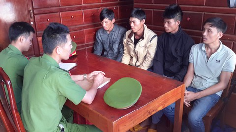 Bắt nhóm hạ độc 1.159 cây thông trên 30 tuổi chiếm đất mặt tiền - Ảnh 2. Bắt nhóm hạ độc 1.159 cây thông trên 30 tuổi chiếm đất mặt tiền - Ảnh 2.