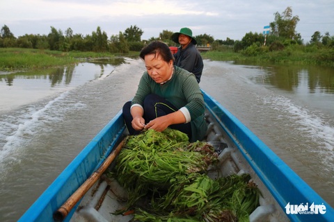 Tuyệt phẩm hẹ nước ăn kèm lẩu mắm, mắm kho - Ảnh 2. Tuyệt phẩm hẹ nước ăn kèm lẩu mắm, mắm kho - Ảnh 2.