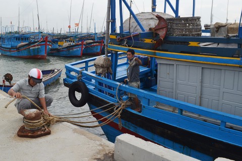 Tất bật ứng phó bão số 5 - Ảnh 1. Tất bật ứng phó bão số 5 - Ảnh 1.