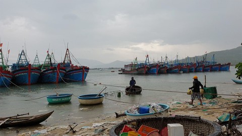 Hình ảnh dân vùng dự báo bão số 5 đổ bộ tất bật ứng phó - Ảnh 4. Hình ảnh dân vùng dự báo bão số 5 đổ bộ tất bật ứng phó - Ảnh 4.