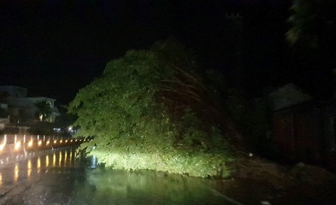 Miền Trung mưa xối xả, kè biển oằn mình trước sóng lớn đón bão số 5 - Ảnh 2. Miền Trung mưa xối xả, kè biển oằn mình trước sóng lớn đón bão số 5 - Ảnh 2.