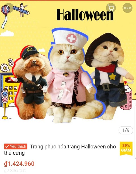 Chơi Halloween, chi tiền triệu cho thú cưng hóa trang - Ảnh 6. Chơi Halloween, chi tiền triệu cho thú cưng hóa trang - Ảnh 6.