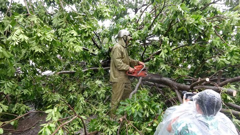 Tâm bão Quy Nhơn ngổn ngang sau mưa gió, 18 tàu cá Phú Yên chìm - Ảnh 5. Tâm bão Quy Nhơn ngổn ngang sau mưa gió, 18 tàu cá Phú Yên chìm - Ảnh 5.