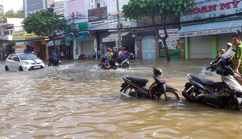 Nam Bộ dưới mực nước biển: chung sống với nước thay vì ngăn dòng nước - Ảnh 1. Nam Bộ dưới mực nước biển: chung sống với nước thay vì ngăn dòng nước - Ảnh 1.