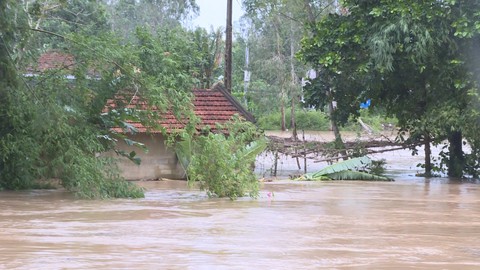 Quảng Ngãi: bão qua, mưa tới lại lo sạt lở, lũ dâng - Ảnh 1. Quảng Ngãi: bão qua, mưa tới lại lo sạt lở, lũ dâng - Ảnh 1.