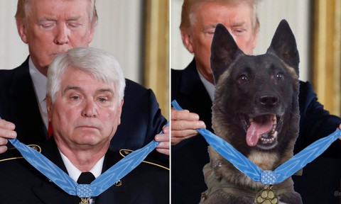 Ông Trump đăng ảnh chỉnh sửa chó nghiệp vụ tiêu diệt trùm IS gây tranh cãi - Ảnh 2. Ông Trump đăng ảnh chỉnh sửa chó nghiệp vụ tiêu diệt trùm IS gây tranh cãi - Ảnh 2.