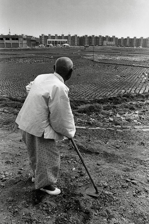 Những đứt gãy trong siêu đô thị Seoul  - Ảnh 6.