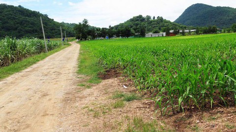 Người ngoài hành tinh nói chuyện Phật pháp ở vùng quê Thái Lan? - Ảnh 3. Người ngoài hành tinh nói chuyện Phật pháp ở vùng quê Thái Lan? - Ảnh 3.