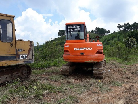 2 hecta rừng thông Lâm Đồng bị phá, kiểm lâm và thủ phạm đều... chưa rõ - Ảnh 3. 2 hecta rừng thông Lâm Đồng bị phá, kiểm lâm và thủ phạm đều... chưa rõ - Ảnh 3.