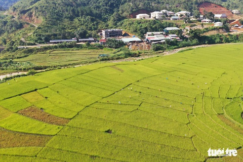 Ruộng bậc thang Chuôr ôm ấp bản làng giữa đại ngàn Trường Sơn - Ảnh 5. Ruộng bậc thang Chuôr ôm ấp bản làng giữa đại ngàn Trường Sơn - Ảnh 5.