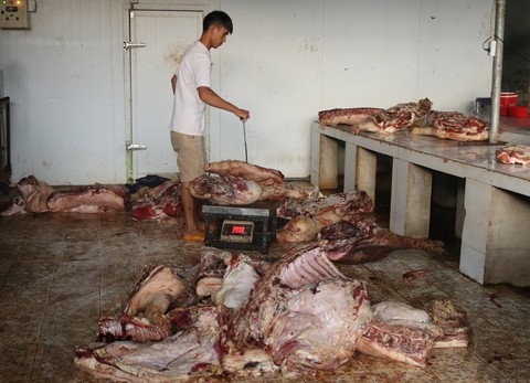 Bắt quả tang 800kg thịt heo bốc mùi hôi tại nơi bán... thực phẩm tươi - Ảnh 1. Bắt quả tang 800kg thịt heo bốc mùi hôi tại nơi bán... thực phẩm tươi - Ảnh 1.