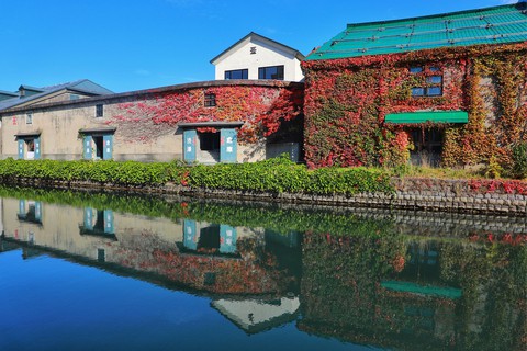 Thu vàng lộng lẫy của Hokkaido - gặp một lần đã là diễm phúc - Ảnh 9. Thu vàng lộng lẫy của Hokkaido - gặp một lần đã là diễm phúc - Ảnh 9.