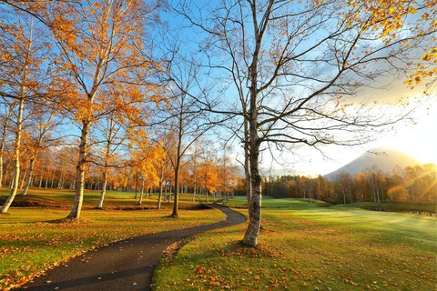 Thu vàng lộng lẫy của Hokkaido - gặp một lần đã là diễm phúc - Ảnh 11. Thu vàng lộng lẫy của Hokkaido - gặp một lần đã là diễm phúc - Ảnh 11.