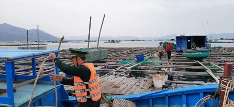 Phú Yên nhiều nơi hoàn tất sơ tán dân tránh bão số 6 - Ảnh 2. Phú Yên nhiều nơi hoàn tất sơ tán dân tránh bão số 6 - Ảnh 2.