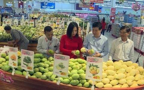 Làm giàu trên quê hương mình - Ảnh 1. Làm giàu trên quê hương mình - Ảnh 1.