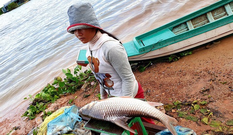 Nếu nay mai Biển Hồ hết cá... - Ảnh 1. Nếu nay mai Biển Hồ hết cá... - Ảnh 1.