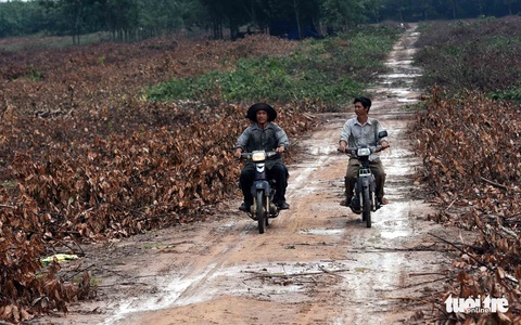 Bộ trưởng Nguyễn Văn Thể: ‘Hiệu quả kinh tế của dự án sân bay Long Thành rất cao’ - Ảnh 2. Bộ trưởng Nguyễn Văn Thể: ‘Hiệu quả kinh tế của dự án sân bay Long Thành rất cao’ - Ảnh 2.