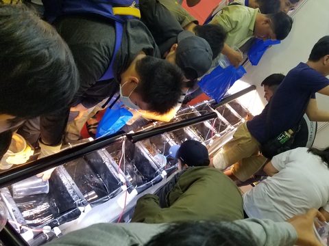 Đồng giá 40.000 đồng/con, cá bảy màu đại náo hội chợ - Ảnh 1. Đồng giá 40.000 đồng/con, cá bảy màu đại náo hội chợ - Ảnh 1.