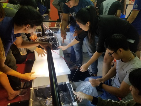 Đồng giá 40.000 đồng/con, cá bảy màu đại náo hội chợ - Ảnh 7. Đồng giá 40.000 đồng/con, cá bảy màu đại náo hội chợ - Ảnh 7.