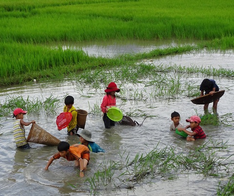Sáng giờ em bắt được ba con cá, em kính tặng thầy - Ảnh 1. Sáng giờ em bắt được ba con cá, em kính tặng thầy - Ảnh 1.