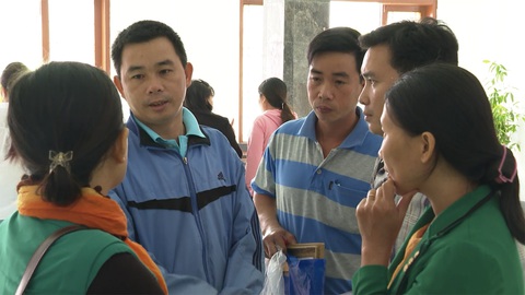 12 giáo viên kiện phòng giáo dục: hoãn tòa để bổ sung hồ sơ - Ảnh 2. 12 giáo viên kiện phòng giáo dục: hoãn tòa để bổ sung hồ sơ - Ảnh 2.