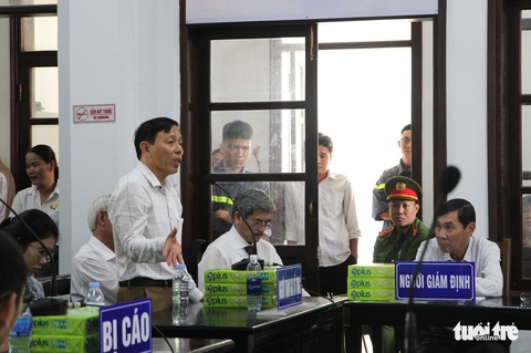 Đề nghị phạt vợ chồng luật sư Trần Vũ Hải 12-15 tháng cải tạo không giam giữ - Ảnh 3. Đề nghị phạt vợ chồng luật sư Trần Vũ Hải 12-15 tháng cải tạo không giam giữ - Ảnh 3.