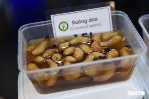 Chiêu đãi thực khách quốc tế với bánh căn, đuông dừa, bọ cạp chiên... - Ảnh 6. Chiêu đãi thực khách quốc tế với bánh căn, đuông dừa, bọ cạp chiên... - Ảnh 6.