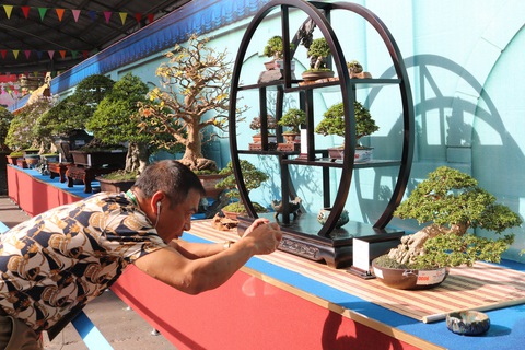 Chiêm ngưỡng những tác phẩm bonsai, suiseki tiền tỉ - Ảnh 2. Chiêm ngưỡng những tác phẩm bonsai, suiseki tiền tỉ - Ảnh 2.