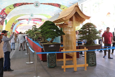 Chiêm ngưỡng những tác phẩm bonsai, suiseki tiền tỉ - Ảnh 3. Chiêm ngưỡng những tác phẩm bonsai, suiseki tiền tỉ - Ảnh 3.