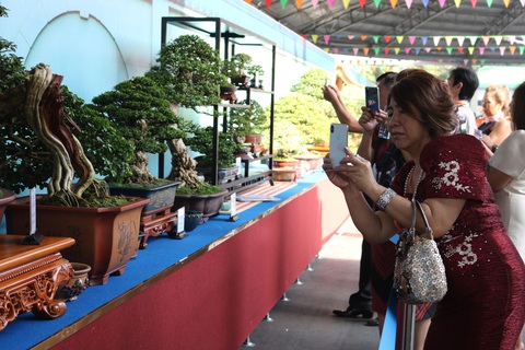 Chiêm ngưỡng những tác phẩm bonsai, suiseki tiền tỉ - Ảnh 4. Chiêm ngưỡng những tác phẩm bonsai, suiseki tiền tỉ - Ảnh 4.
