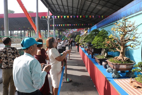 Chiêm ngưỡng những tác phẩm bonsai, suiseki tiền tỉ - Ảnh 1. Chiêm ngưỡng những tác phẩm bonsai, suiseki tiền tỉ - Ảnh 1.