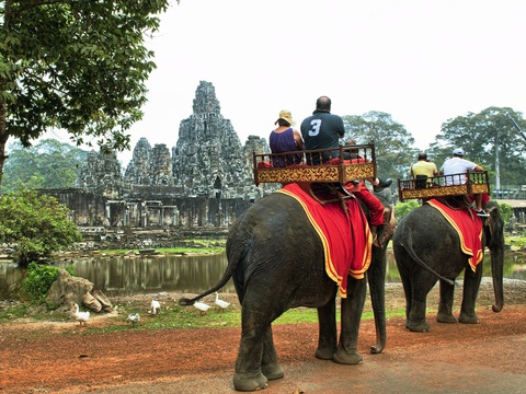 Campuchia cấm du khách cưỡi voi ở Angkor - Ảnh 1. Campuchia cấm du khách cưỡi voi ở Angkor - Ảnh 1.