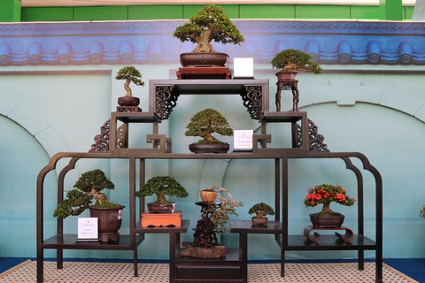 Chiêm ngưỡng những tác phẩm bonsai, suiseki tiền tỉ - Ảnh 8. Chiêm ngưỡng những tác phẩm bonsai, suiseki tiền tỉ - Ảnh 8.