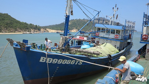 Bảo hiểm chê vì sợ lỗ, tàu vỏ thép hàng chục tỉ đồng nằm bờ - Ảnh 1. Bảo hiểm chê vì sợ lỗ, tàu vỏ thép hàng chục tỉ đồng nằm bờ - Ảnh 1.