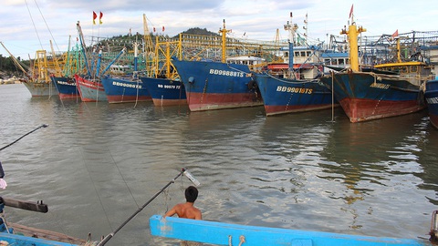 Bảo hiểm chê vì sợ lỗ, tàu vỏ thép hàng chục tỉ đồng nằm bờ - Ảnh 3. Bảo hiểm chê vì sợ lỗ, tàu vỏ thép hàng chục tỉ đồng nằm bờ - Ảnh 3.