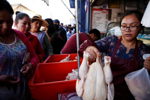 Bolivia bắt đầu thiếu thốn thực phẩm, xăng dầu - Ảnh 3. Bolivia bắt đầu thiếu thốn thực phẩm, xăng dầu - Ảnh 3.