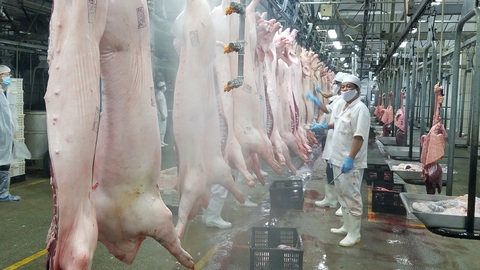 Giá thịt heo bình ổn được điều chỉnh tăng thêm 8.000-35.000 đồng/kg - Ảnh 1. Giá thịt heo bình ổn được điều chỉnh tăng thêm 8.000-35.000 đồng/kg - Ảnh 1.