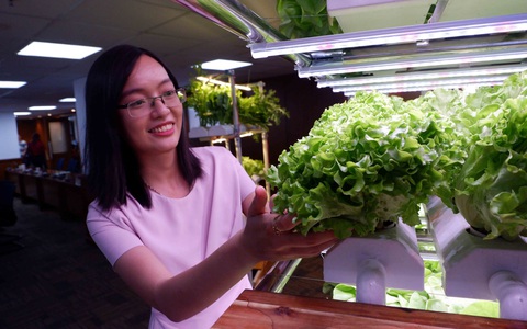 Kệ trồng rau thông minh không cần ánh nắng, mất điện 3 ngày vẫn sống khỏe - Ảnh 1. Kệ trồng rau thông minh không cần ánh nắng, mất điện 3 ngày vẫn sống khỏe - Ảnh 1.