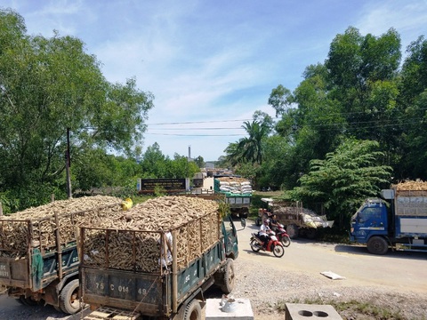 Nhà máy sắn xả nước thải ra môi trường bị xử phạt gần nửa tỉ đồng - Ảnh 1. Nhà máy sắn xả nước thải ra môi trường bị xử phạt gần nửa tỉ đồng - Ảnh 1.