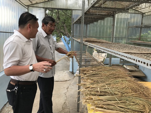 Gạo ST25 ngon nhất thế giới cháy hàng - Ảnh 2. Gạo ST25 ngon nhất thế giới cháy hàng - Ảnh 2.