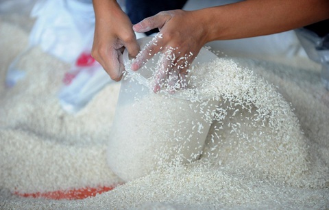 Tổng thống Philippines ra lệnh ngừng nhập khẩu gạo - Ảnh 1. Tổng thống Philippines ra lệnh ngừng nhập khẩu gạo - Ảnh 1.