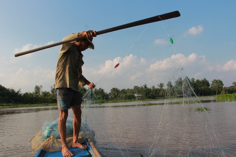 Săn cá vồ đém - Ảnh 2. Săn cá vồ đém - Ảnh 2.