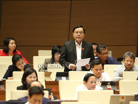 Từ ‘kỳ án’ gỗ trắc, đại biểu Quốc hội đề nghị tháo nút thắt về giám định - Ảnh 1. Từ ‘kỳ án’ gỗ trắc, đại biểu Quốc hội đề nghị tháo nút thắt về giám định - Ảnh 1.