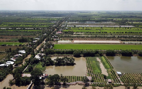 Nông trường Sông Hậu sẽ được giải cứu như thế nào? - Ảnh 2. Nông trường Sông Hậu sẽ được giải cứu như thế nào? - Ảnh 2.
