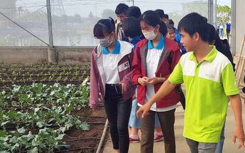 Nước mật dừa của kỹ sư hóa học tại Ngày hội xây dựng nông thôn mới - Ảnh 3. Nước mật dừa của kỹ sư hóa học tại Ngày hội xây dựng nông thôn mới - Ảnh 3.