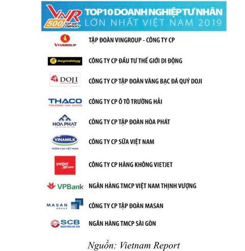 20 doanh nghiệp nhà nước, tư nhân lớn nhất 2019 - Ảnh 2. 20 doanh nghiệp nhà nước, tư nhân lớn nhất 2019 - Ảnh 2.