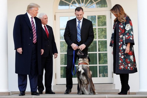 Ông Trump trao huân chương cho chó Conan hỗ trợ tiêu diệt trùm IS - Ảnh 1. Ông Trump trao huân chương cho chó Conan hỗ trợ tiêu diệt trùm IS - Ảnh 1.